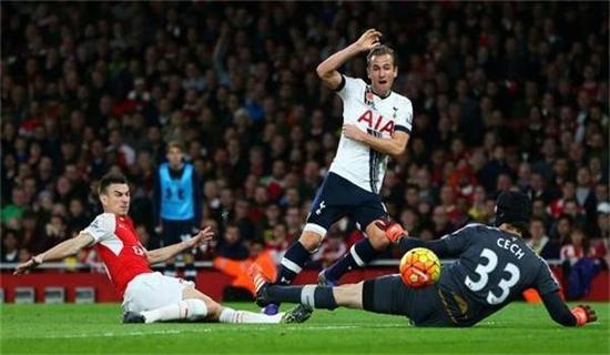 塔图姆贡献 塔图姆贡献